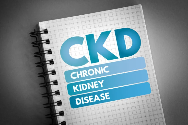 Chronic Kidney Disease graphically placed on a notebook.